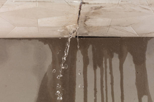 Professional Structural Drying technician working in Oakland, MI